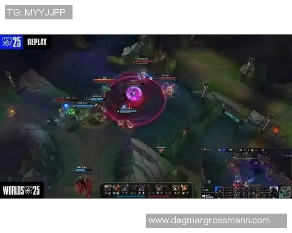 esports数据电竞职业联赛特别报道WE战队的拼搏历程与荣耀时刻